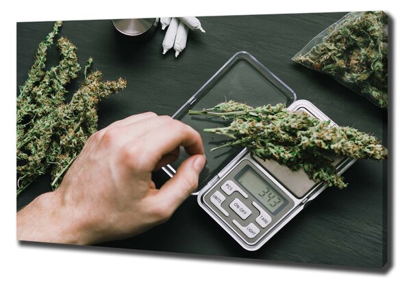 Foto obraz na plátně Marihuana oc-191112467
