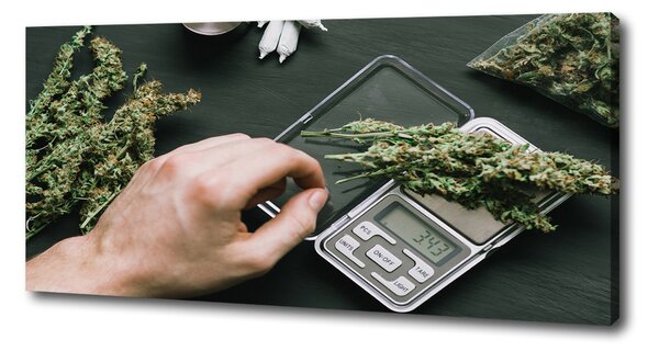 Foto obraz na plátně Marihuana oc-191112467