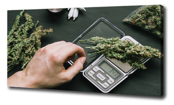 Foto obraz na plátně Marihuana oc-191112467