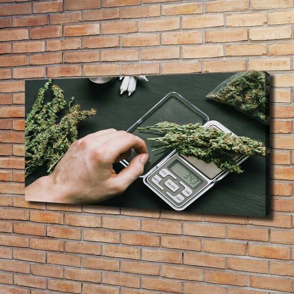 Foto obraz na plátně Marihuana oc-191112467