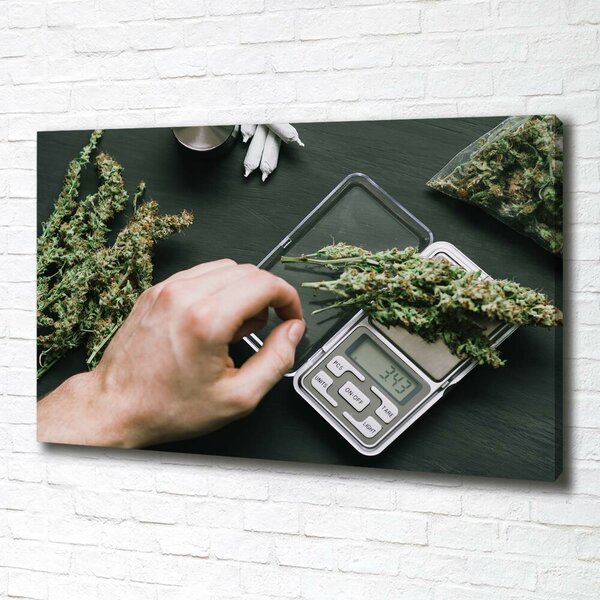 Foto obraz na plátně Marihuana oc-191112467