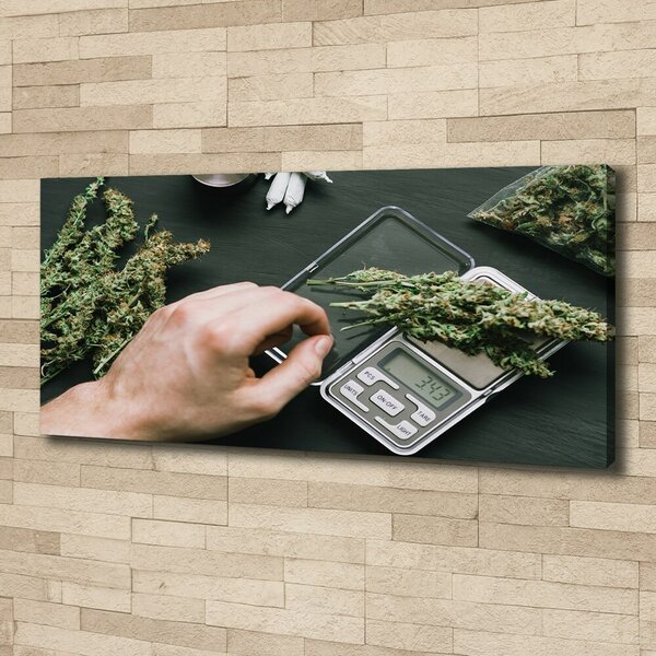 Foto obraz na plátně Marihuana oc-191112467