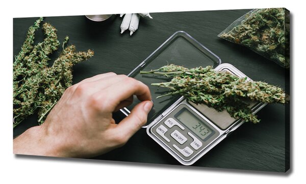 Foto obraz na plátně Marihuana oc-191112467