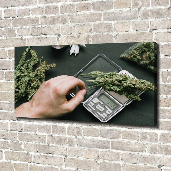Foto obraz na plátně Marihuana oc-191112467