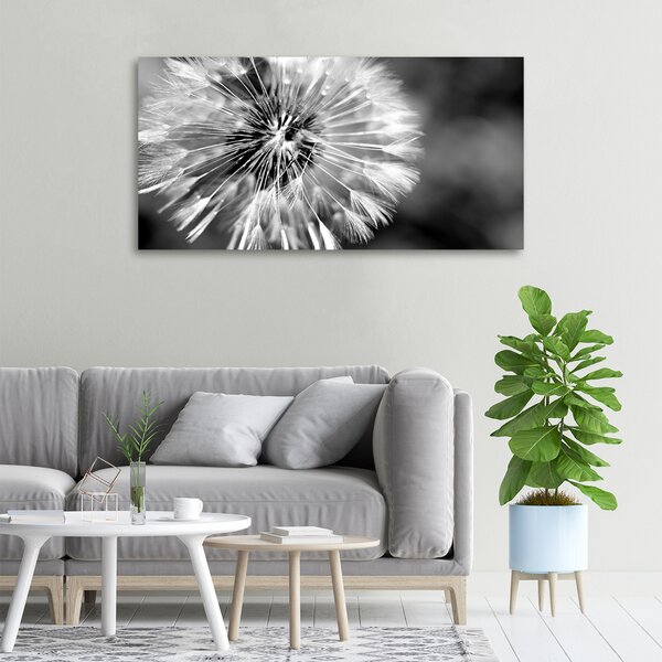 Foto obraz canvas Pampelišky oc-23529298