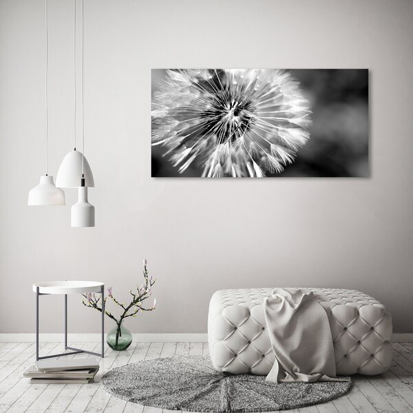 Foto obraz canvas Pampelišky oc-23529298