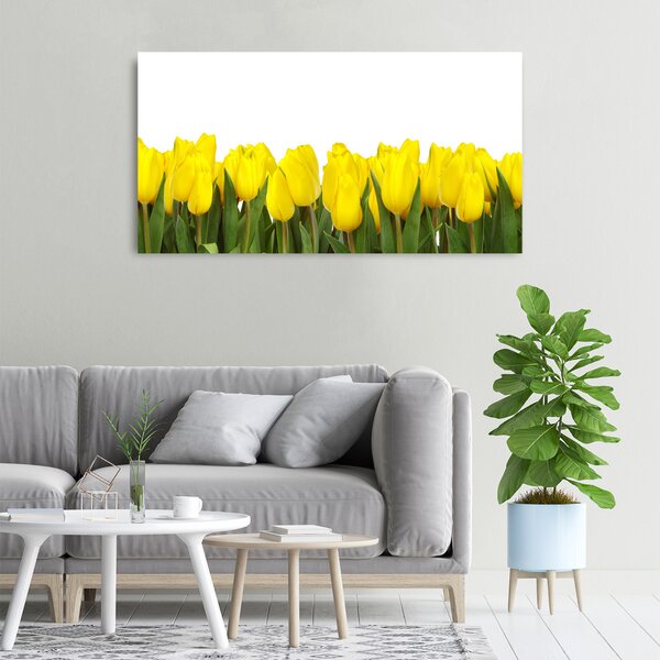 Foto obraz na plátně Žluté tulipány oc-2665979