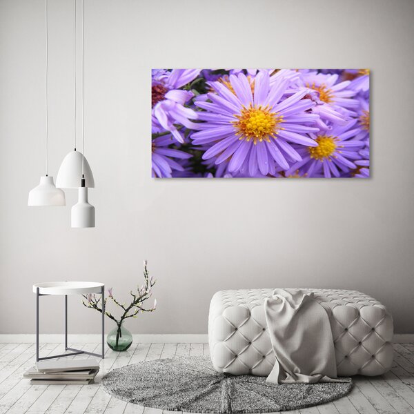 Moderní fotoobraz canvas na rámu Astry oc-26724270
