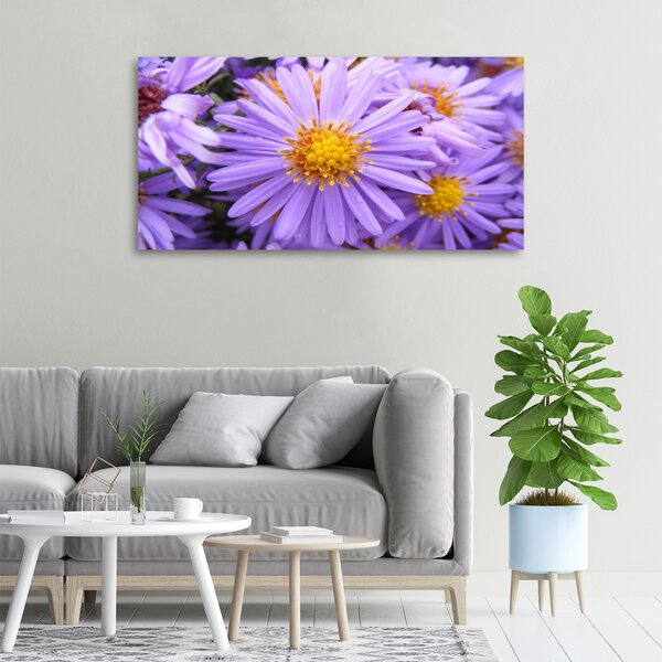 Moderní fotoobraz canvas na rámu Astry oc-26724270