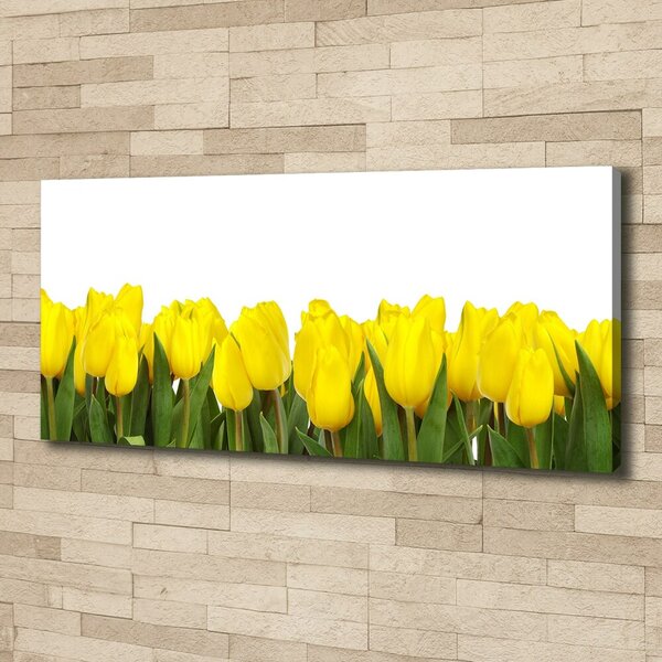 Foto obraz na plátně Žluté tulipány oc-2665979