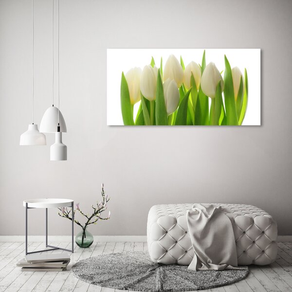 Foto obraz na plátně Tulipány oc-28819889