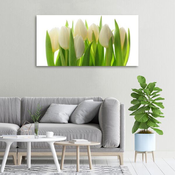 Foto obraz na plátně Tulipány oc-28819889