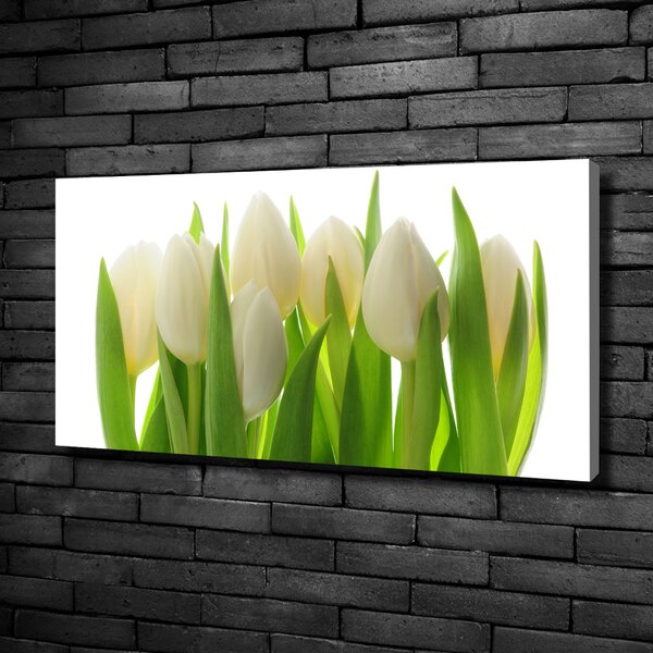 Foto obraz na plátně Tulipány oc-28819889