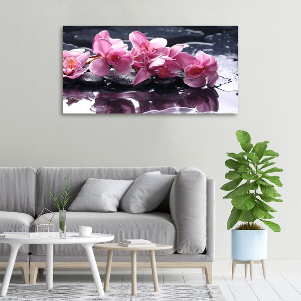 Foto obraz na plátně do obýváku Růžová orchidej oc-28903356