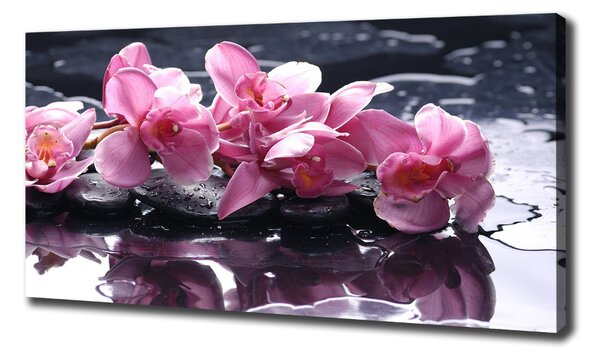 Foto obraz na plátně do obýváku Růžová orchidej oc-28903356