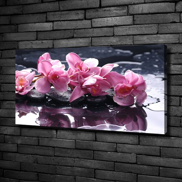 Foto obraz na plátně do obýváku Růžová orchidej oc-28903356