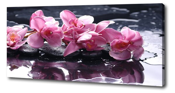 Foto obraz na plátně do obýváku Růžová orchidej oc-28903356