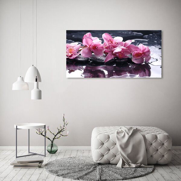 Foto obraz sklo tvrzené Růžová orchidej osh-28903356