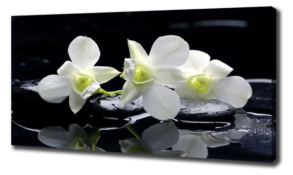 Foto-obraz canvas do obýváku Orchidej oc-28908662