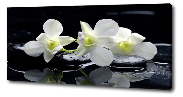 Foto-obraz canvas do obýváku Orchidej oc-28908662
