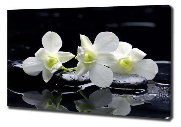 Foto-obraz canvas do obýváku Orchidej oc-28908662