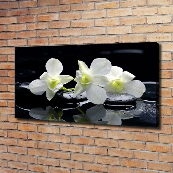Foto-obraz canvas do obýváku Orchidej oc-28908662