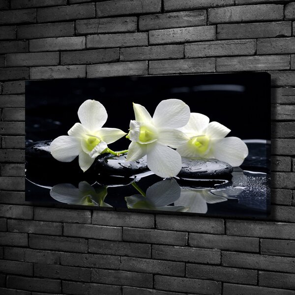 Foto-obraz canvas do obýváku Orchidej oc-28908662