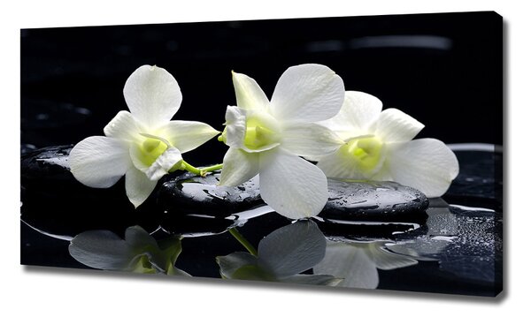 Foto-obraz canvas do obýváku Orchidej oc-28908662