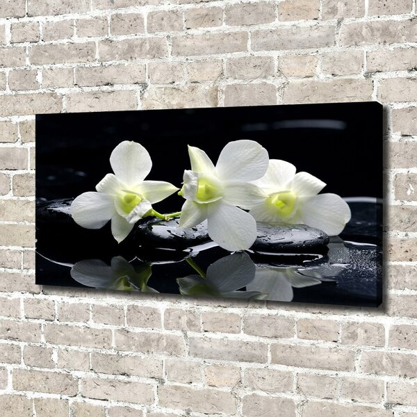 Foto-obraz canvas do obýváku Orchidej oc-28908662