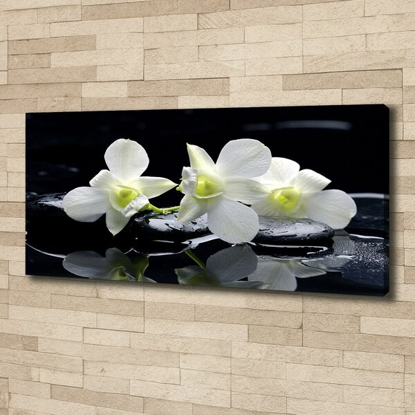 Foto-obraz canvas do obýváku Orchidej oc-28908662
