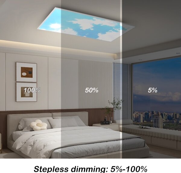 Brilagi -LED Stm. strop. svít. SLIMFRAME SKY LED/80W/230V 120x60 cm + DO
