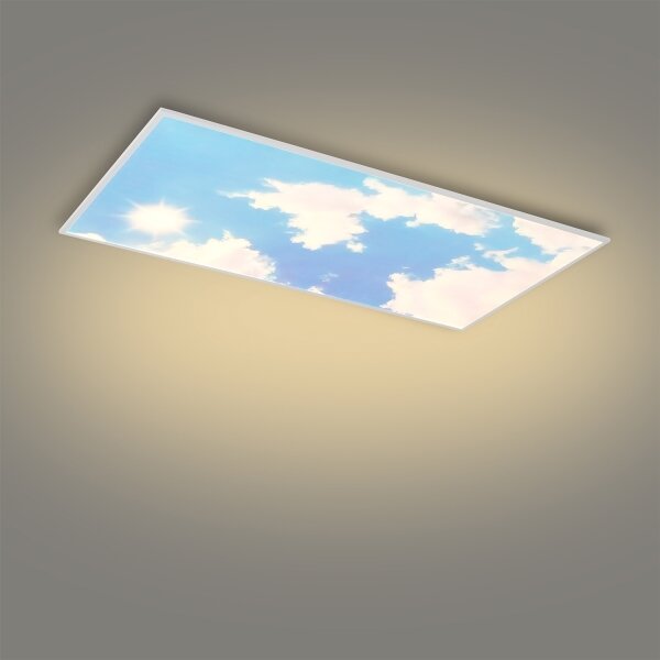 Brilagi -LED Stm. strop. svít. SLIMFRAME SKY LED/80W/230V 120x60 cm + DO