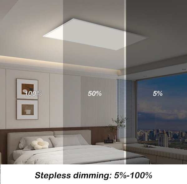Brilagi - LED Stm. strop. svítidlo SLIMFRAME LED/80W/230V 120x60 cm bílá + DO