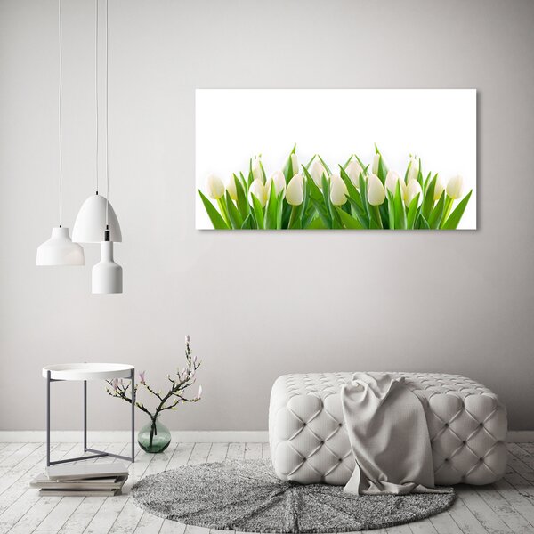 Foto obraz na plátně Bílé tulipány oc-30153186