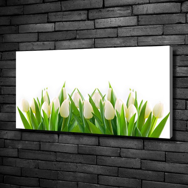 Foto obraz na plátně Bílé tulipány oc-30153186
