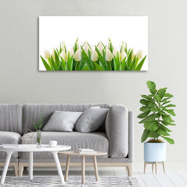 Foto obraz na plátně Bílé tulipány oc-30153186