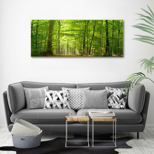 Foto obraz na plátně Listnatý strom oc-31250020