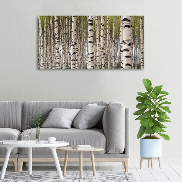 Moderní fotoobraz canvas na rámu Břízový les oc-31867188