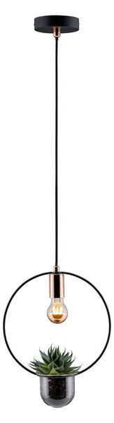 Paulmann Závěsné svítidlo na květiny TASJA, černá/meď, průměr 12cm , 1xE27