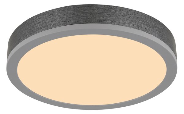 STROPNÍ LED SVÍTIDLO, 30/8,5 cm Globo - Stropní svítidla