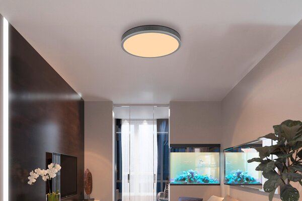 STROPNÍ LED SVÍTIDLO, 45/8,5 cm Globo - Stropní svítidla