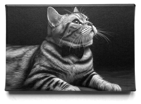 KRAFTHOUSE.EU Váš mazlíček v Prémiovém stylu – obraz na plátno Premium Canvas | Různé rozměry Velikost: 30 x 20 cm