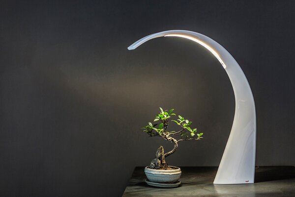 Kartell designové stolní lampy Taj