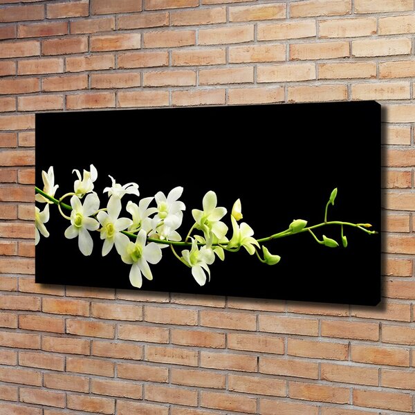 Foto obraz na plátně do obýváku Orchidej oc-4005190