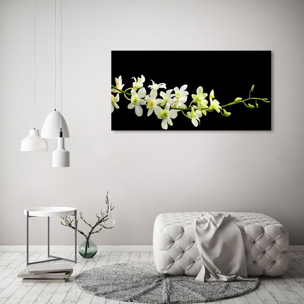 Foto obraz na plátně do obýváku Orchidej oc-4005190
