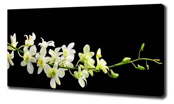 Foto obraz na plátně do obýváku Orchidej oc-4005190