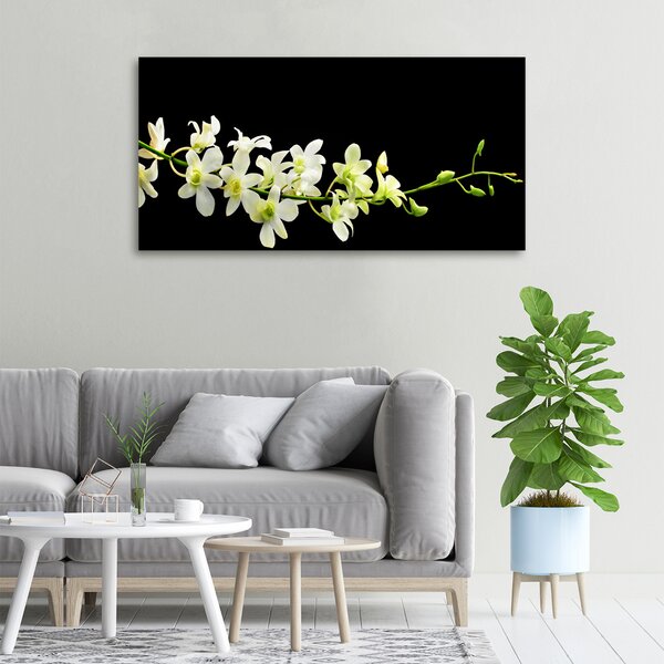 Foto obraz na plátně do obýváku Orchidej oc-4005190