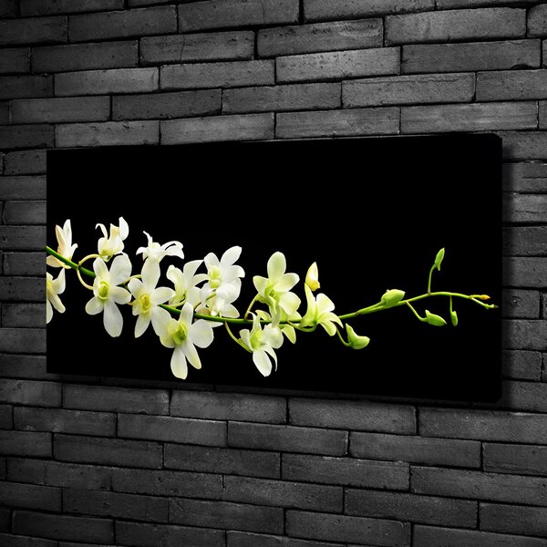 Foto obraz na plátně do obýváku Orchidej oc-4005190