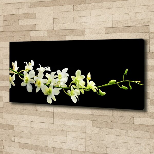Foto obraz na plátně do obýváku Orchidej oc-4005190
