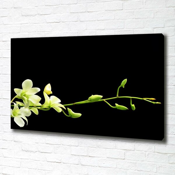 Foto obraz na plátně do obýváku Orchidej oc-4005190